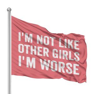 I'm not like other girls I'm worse flag funny wall decor college dorm room frat